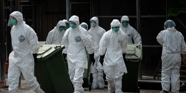 Koronavirüsten sonra yeni tehlike kapıda!