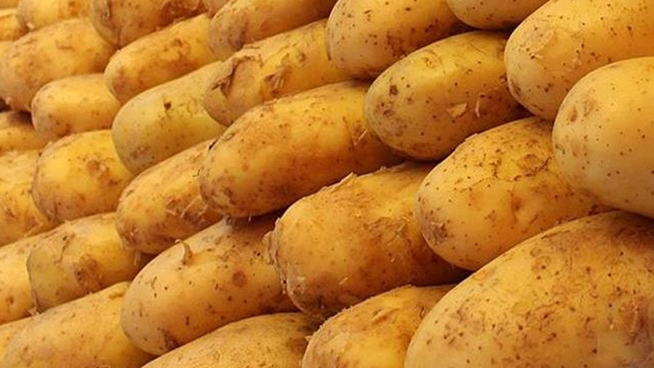 Rusya'da 'patates' krizi