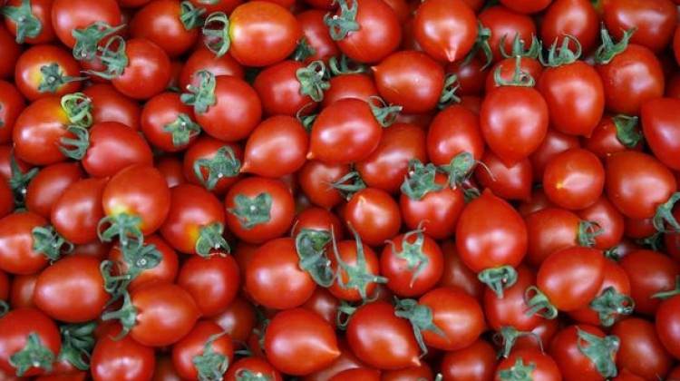 Rusya'dan flaş domates açıklaması!