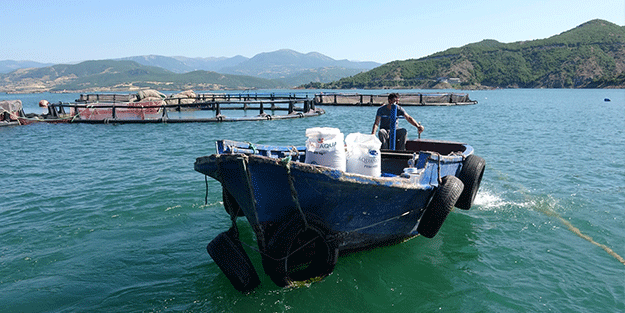 Rusya’dan Japonya’ya kadar gönderiliyor! Denizi olmayan şehirden müthiş başarı