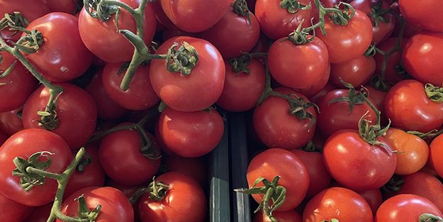 Rusya'dan Türkiye'den satın alınan domateslerle ilgili flaş karar! Apar topar devreye sokuldu