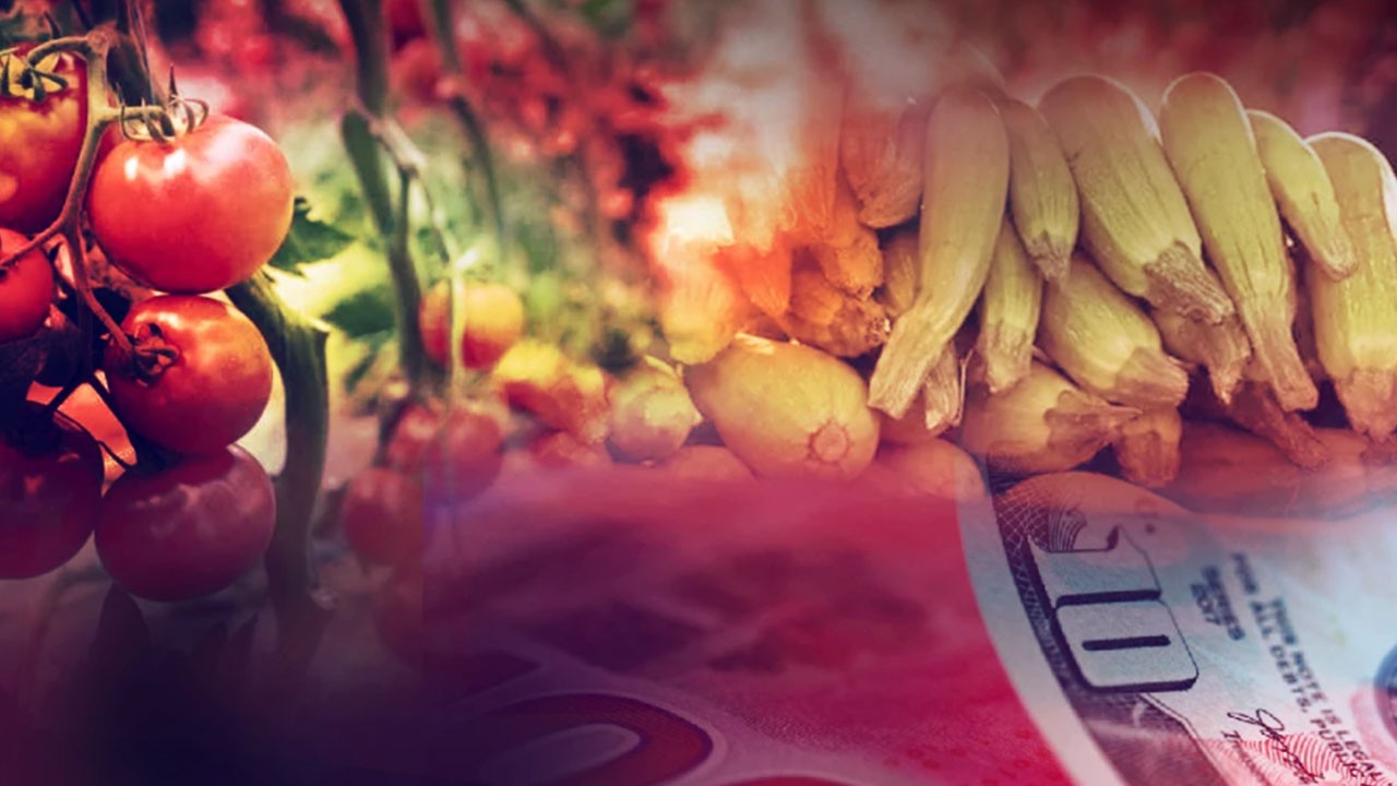 Rusya Türkiye'den tonlarca satın almaya başladı! Sektör temsilcileri dahil herkes şaşkın