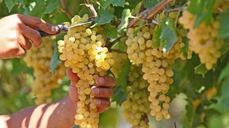 Rusya'dan yine aynı sebep! Kabul etmedi