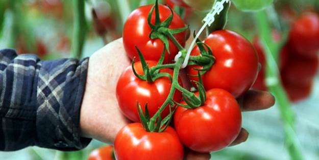 Rusya'nın almadığı ürünler ne oluyor?