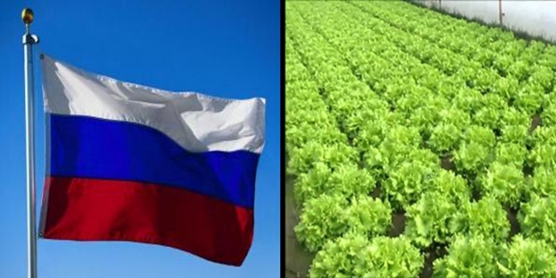 Rusya'nın gururu salatayı da vurdu! Onu da almayacak