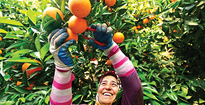Rusya’nın Türkiye hesabı pazara uymadı