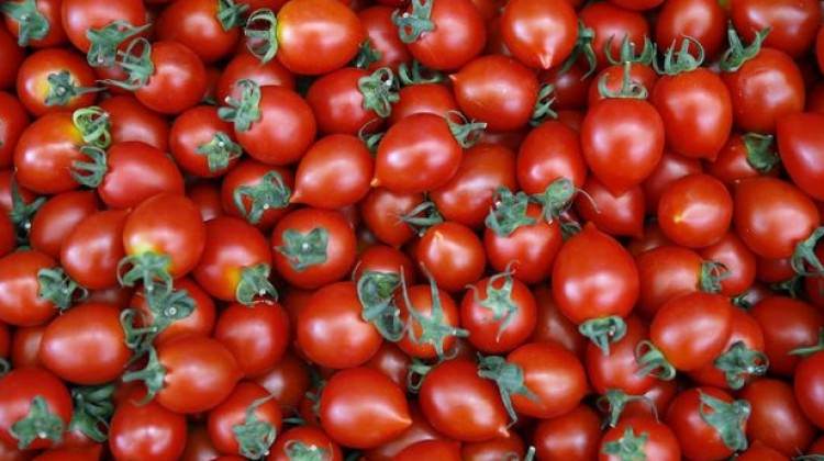 Rusya'nın Türkiye kararı o ülkeyi etkiledi