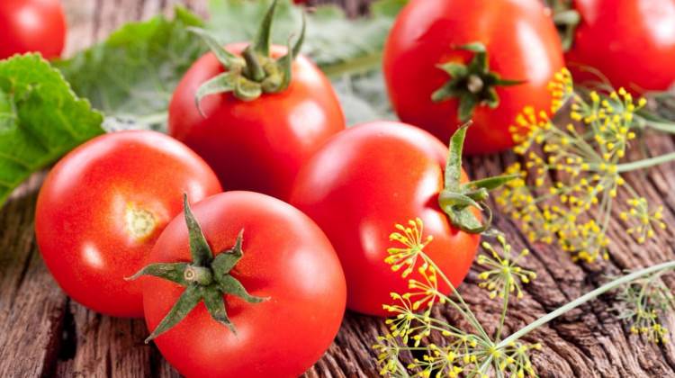 Rusya'nın Türkiye planı işe yaramadı