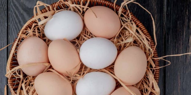 Rusya'nın Türkiye'den ithal ettiği yumurtalar ülkeye ulaştı! Rusya'dan ilişkin açıklama! Önemli gelişme