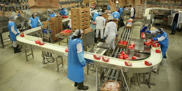 Rusya'ya dev ihracat kapıda... Tam 20 bin ton