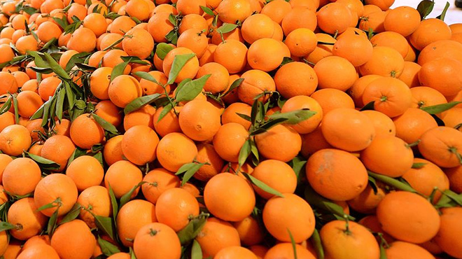 Rusya'ya en çok mandarin ihraç edildi