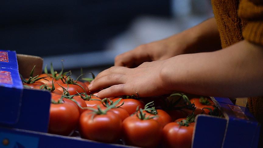 Rusya'ya ihracat yüzde 66 geriledi