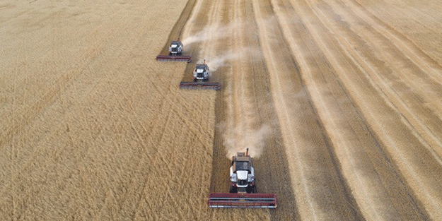 Rusya'yı sarsacak gelişme! Şok içerisinde duyurdular: Türkiye satın almayı durduruyor