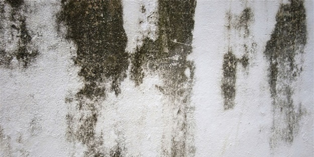 Rutubetten böyle kurtulun! - FOTO