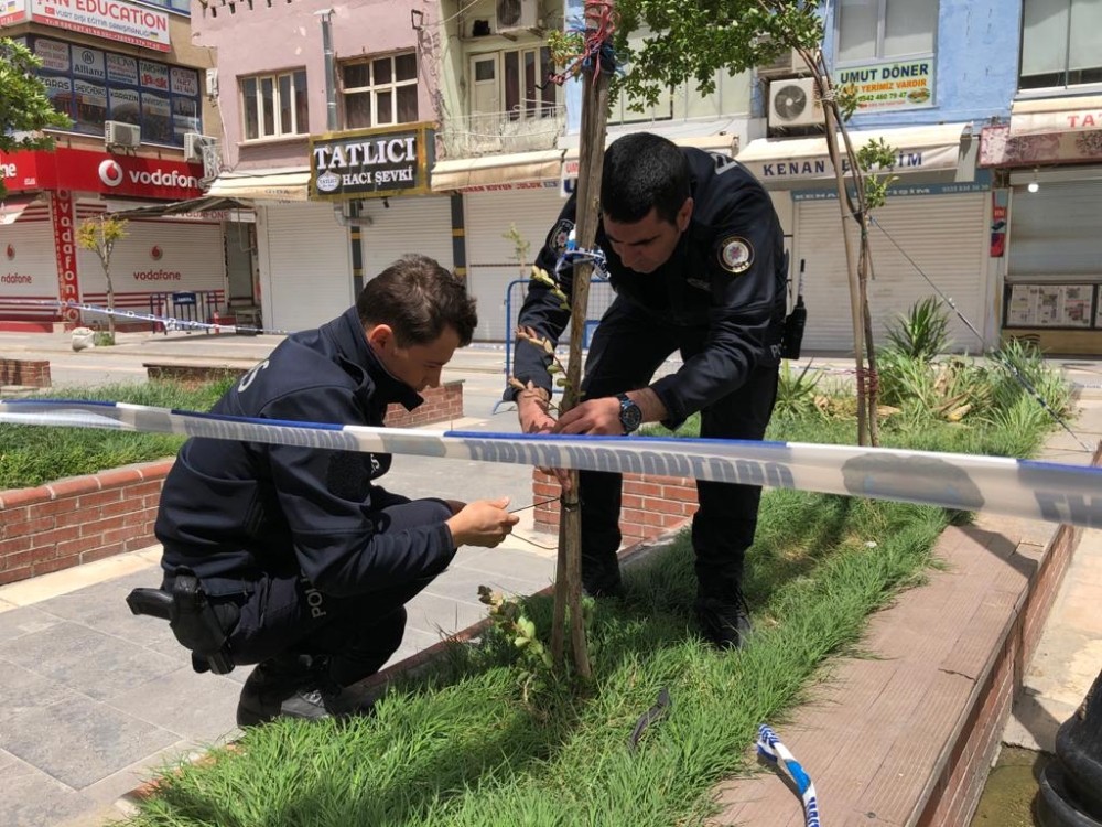 Rüzgardan eğilen ağacın yardımına Kızıltepe polisi koştu 