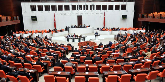 17. madde 341 oyla kabul edildi
