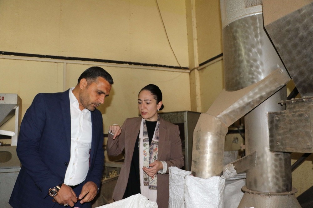 Saadet Adayı Aslan, istihdama katkı sağlayacağız 