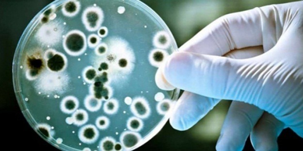 Sabah kalktığınızda bir bardak suya tükürün ve...