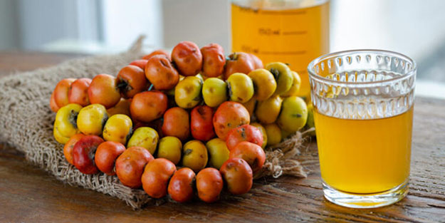 Vücuttaki yağları eritip metabolizmayı makine gibi çalıştırıyor