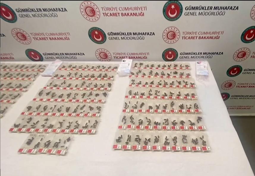 Sabiha Gökçen Havalimanı’ında bu kez de canlı arı yakalandı!