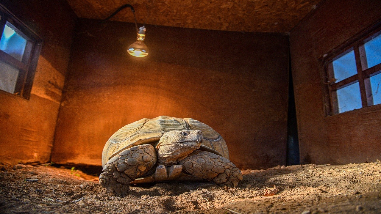 Sabi’nin Antalya’da lüks kış keyfi