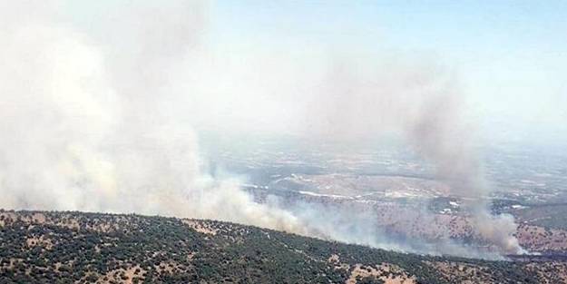 Sabotaj mı? Manisa'da peş peşe yangın!