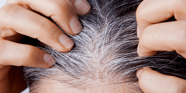 Saç beyazlaması sona eriyor... İbn-i Sina'dan simsiyah yapan öneri!