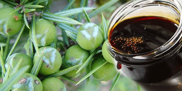 Saç dökülmeleri başınıza dert açmasın! Bunu yapanın saçları daha gür çıkıyor