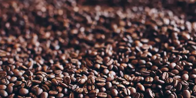 Saç dökülmesini durduran ve yeni saç çıkaran tonik tarifi: Beyaz saçlara kesin çözüm!