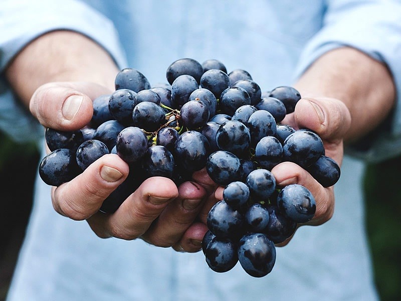 Saçların dökülmesini engelliyor