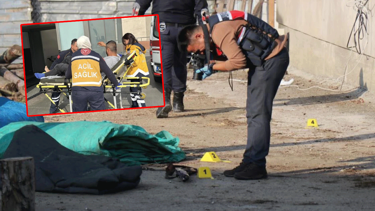 Saçma sapan iş: Tavuk yüzünden kan aktı