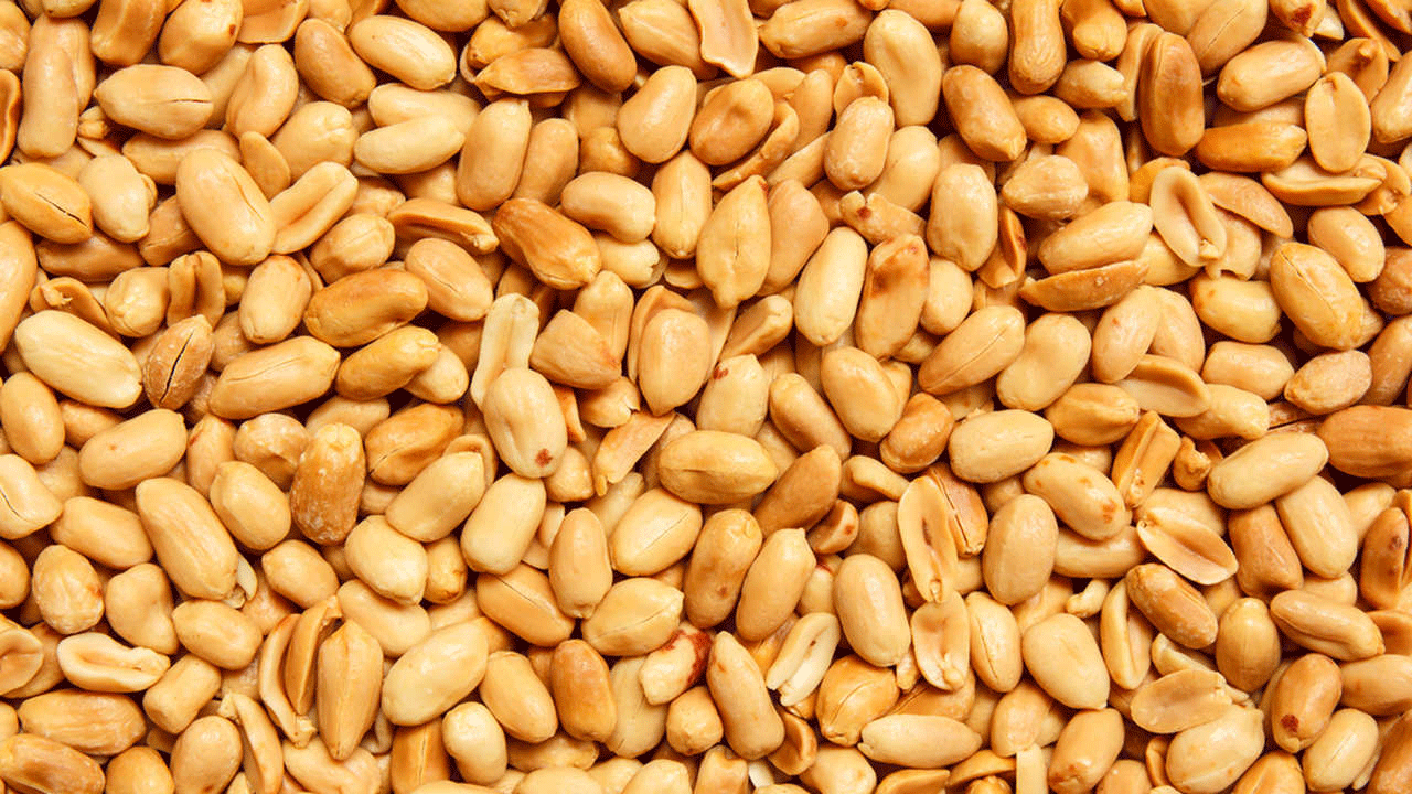 Sadece 3 ayda 59,7 milyon dolar kazandırdı