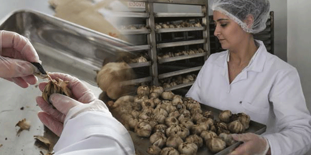 Sadece 4 liraya alıyor! Öyle bir şey yapıyor ki… 20 gün sonra 150 liraya satıyor!