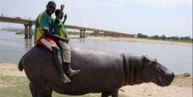 Sadece Afrika'da görebileceğiniz görüntüler!