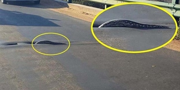 Sadece Afrika'da görebileceğiniz manzaralar!