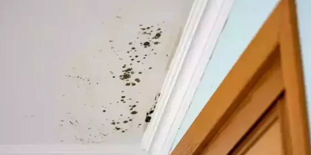 Bir kaşık eklemek yetiyor! Duvarları ışıl ışıl yapıyor: Küften geriye iz bile kalmıyor!