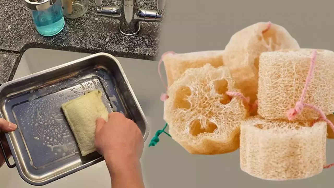 Sadece duşta değil, bulaşıkta da kurtarıcı! Kabak lifi bulaşık süngeri kullanımı!