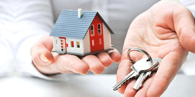 Sadece İstanbul’da 10 binden fazla var: Büyük tehlike ihbar edin…