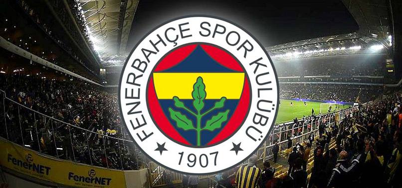 'Fenerbahçe başkanlığına talibim'
