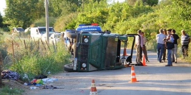 Safari cipi devrildi: 2 turist öldü