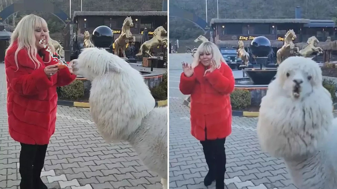 Safiye Soyman’a şok! Ramazan Ramazan yüzüne tükürdü
