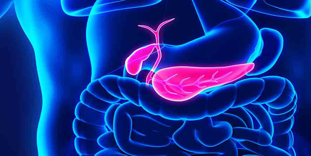 Safra kesesi kanseri nedir, neden olur? Safra kesesi kanseri belirtileri ve tedavisi