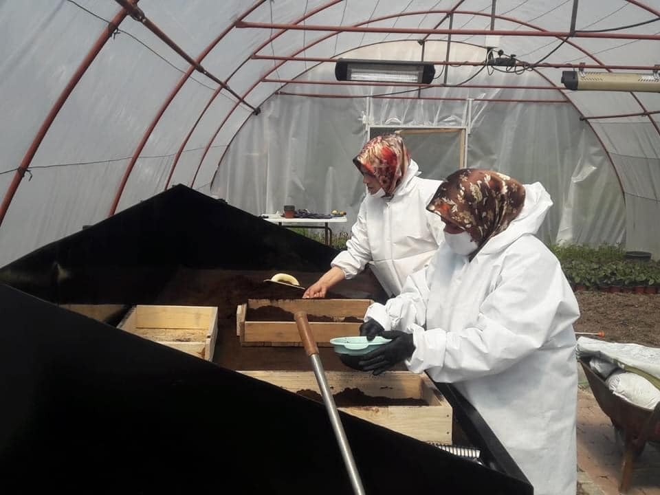Safranbolu Belediyesi ilk çiçek tohumlamasını yaptı 