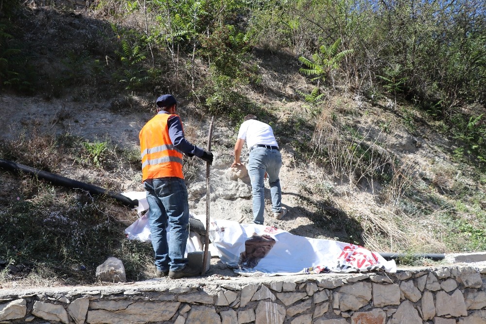 Safranbolu’da bulunan aslan figürlü taş polisi alarma geçirdi 