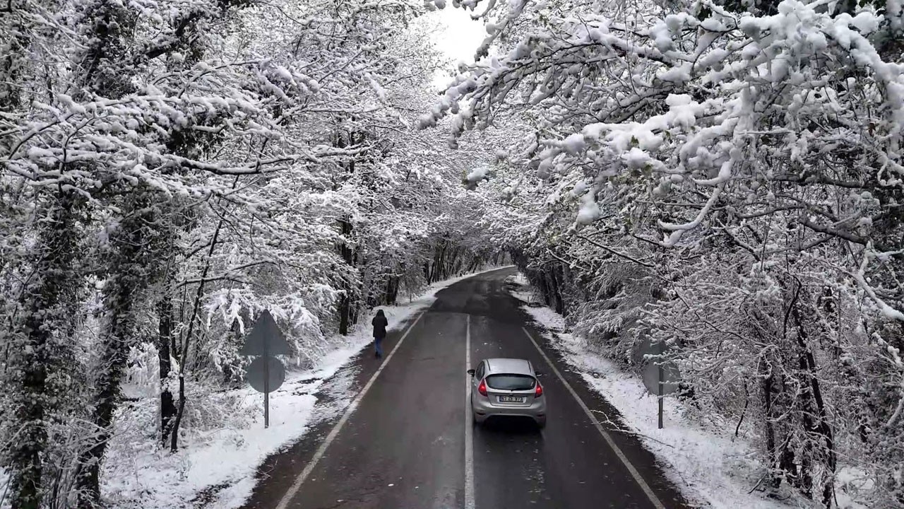 Safranbolu’da nisan sürprizi! Ağaç tünel beyaz gelinliğini giydi