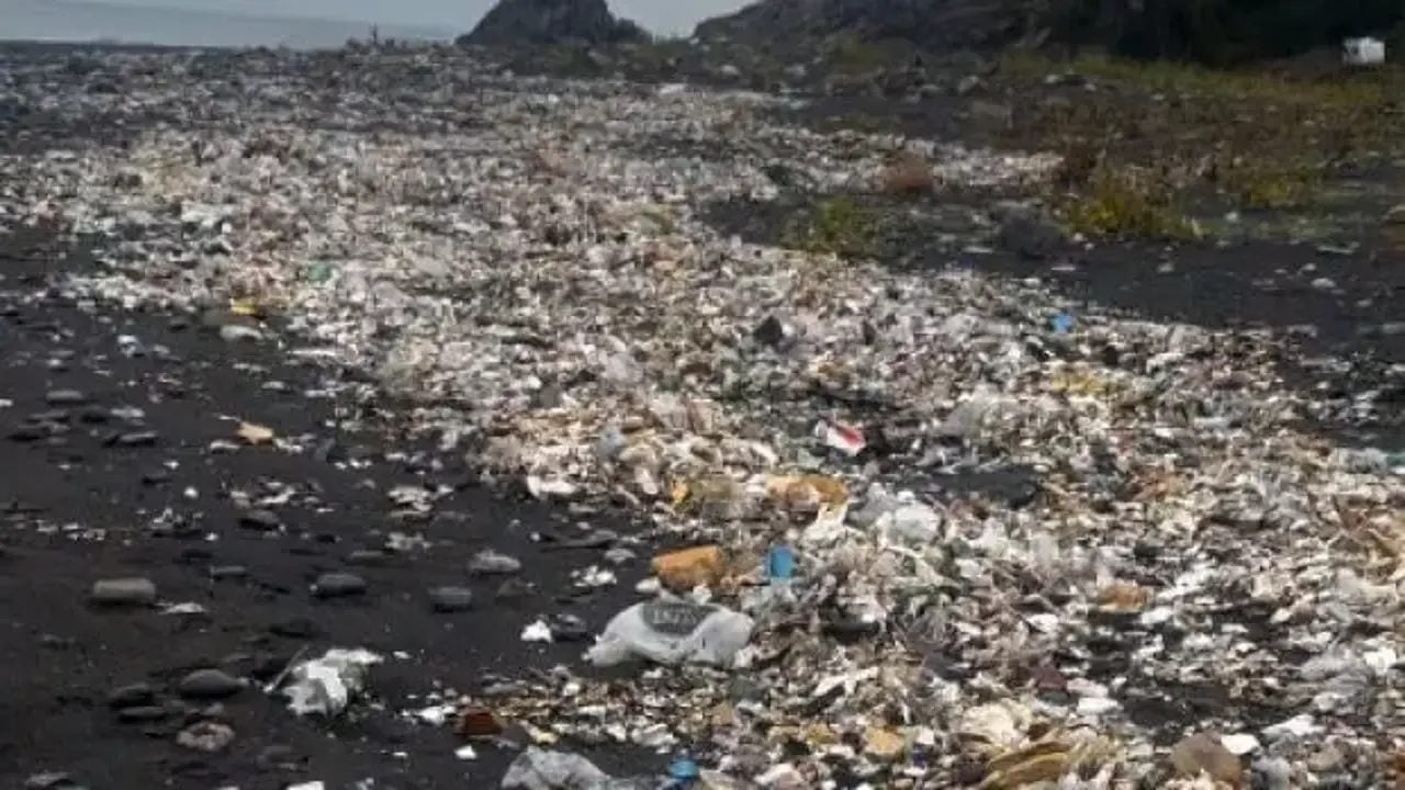 Sağanak sonrası denize sürüklenen çöpler kıyıya vurdu!