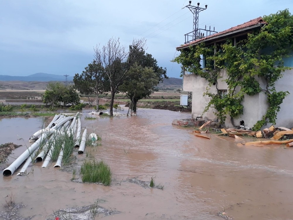 Sağanak yağış çeltik tarlalarını vurdu 