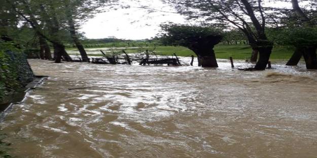 Sağanak yağış sonrası bir köy sular altında kaldı!