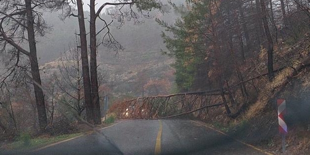 Sağanak yağışın başladığı Marmaris'te yol kapandı