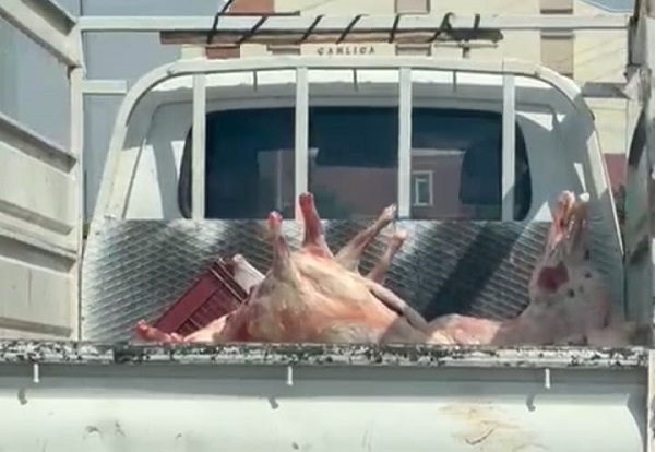 Sağlığımızla böyle oynuyorlar!